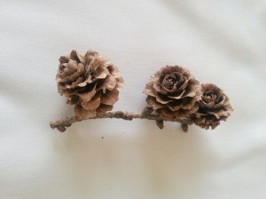 松果 | JCR Collections