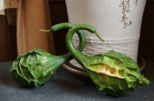 清境農場民宿-茶几上的天鵝瓜