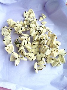 (圖1) 買回來之果皮先用乾布抹乾淨,一串串掛起來曬至乾身。