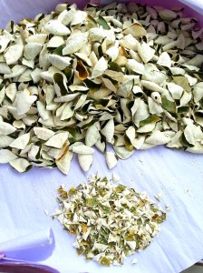 (圖2) 把果皮從鐵線中除出,把果皮一個剪成三片。