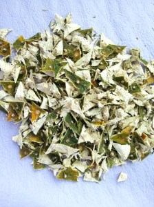 (圖3) 果皮頂部之種座記着要剪下不要。