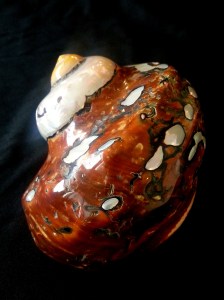 南非蠑螺 | JCR Collections 樣本直徑: 95mm