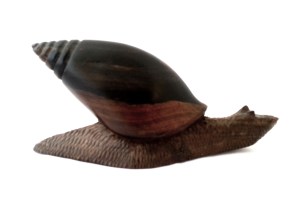 蝸牛木雕 | JCR Collections 