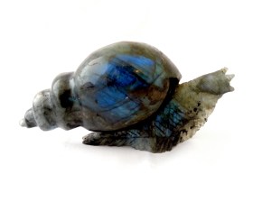 蝸牛石雕  拉長石 | JCR Collections 