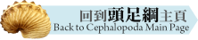 Cephalopoda Main Page