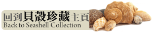 Seashell Main Page