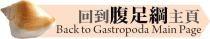 Gastropoda Main Page