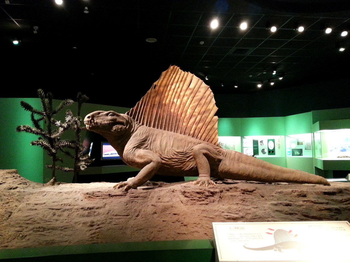 恐龍廳-長棘龍 (Spinosaurus)