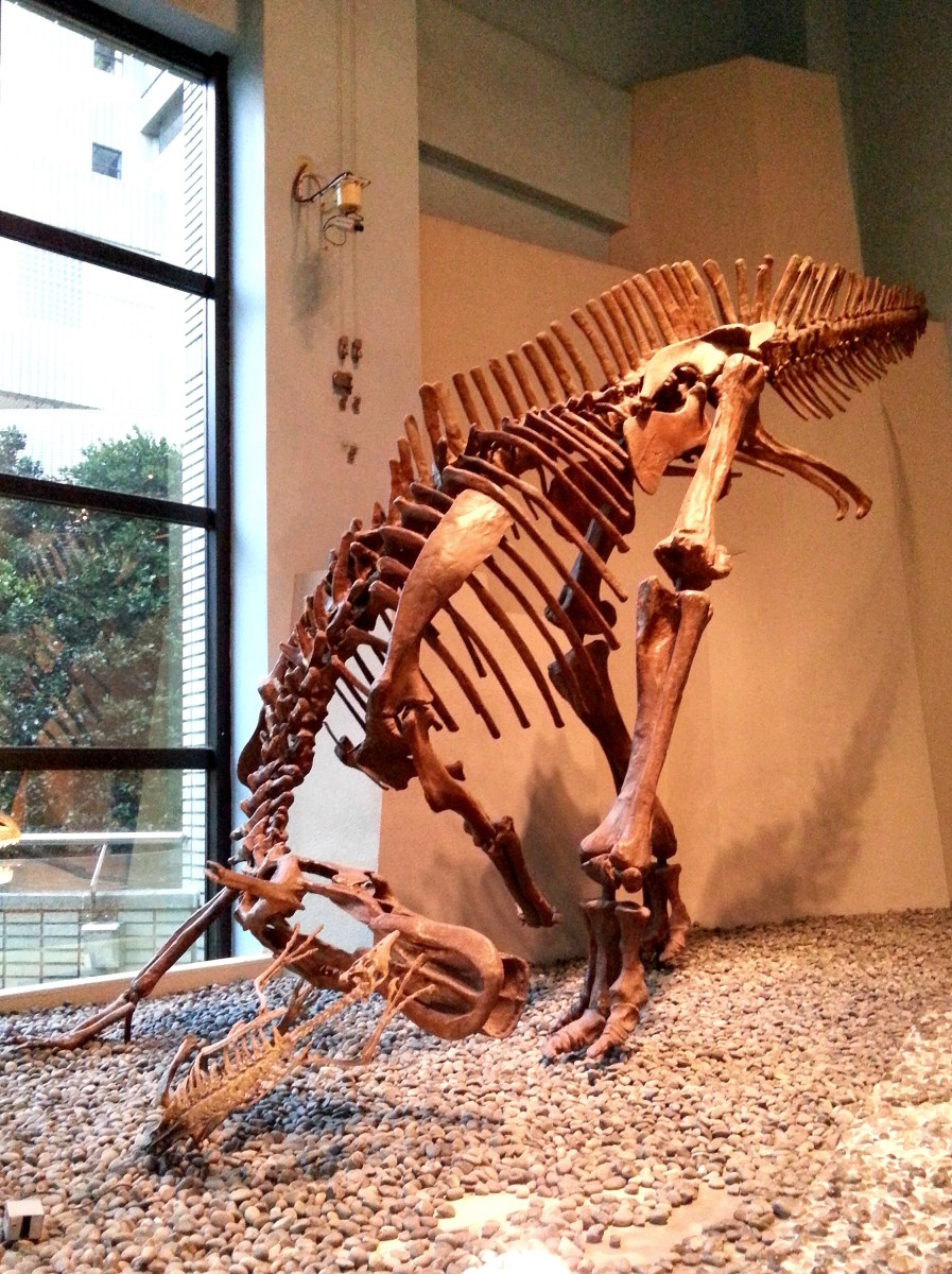 恐龍廳-迅掠龍 (Dromaeosauridae)