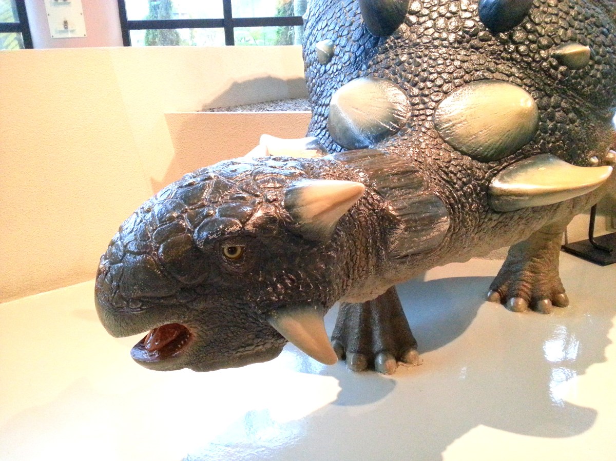 恐龍廳-真板頭龍 (Euoplocephalus)