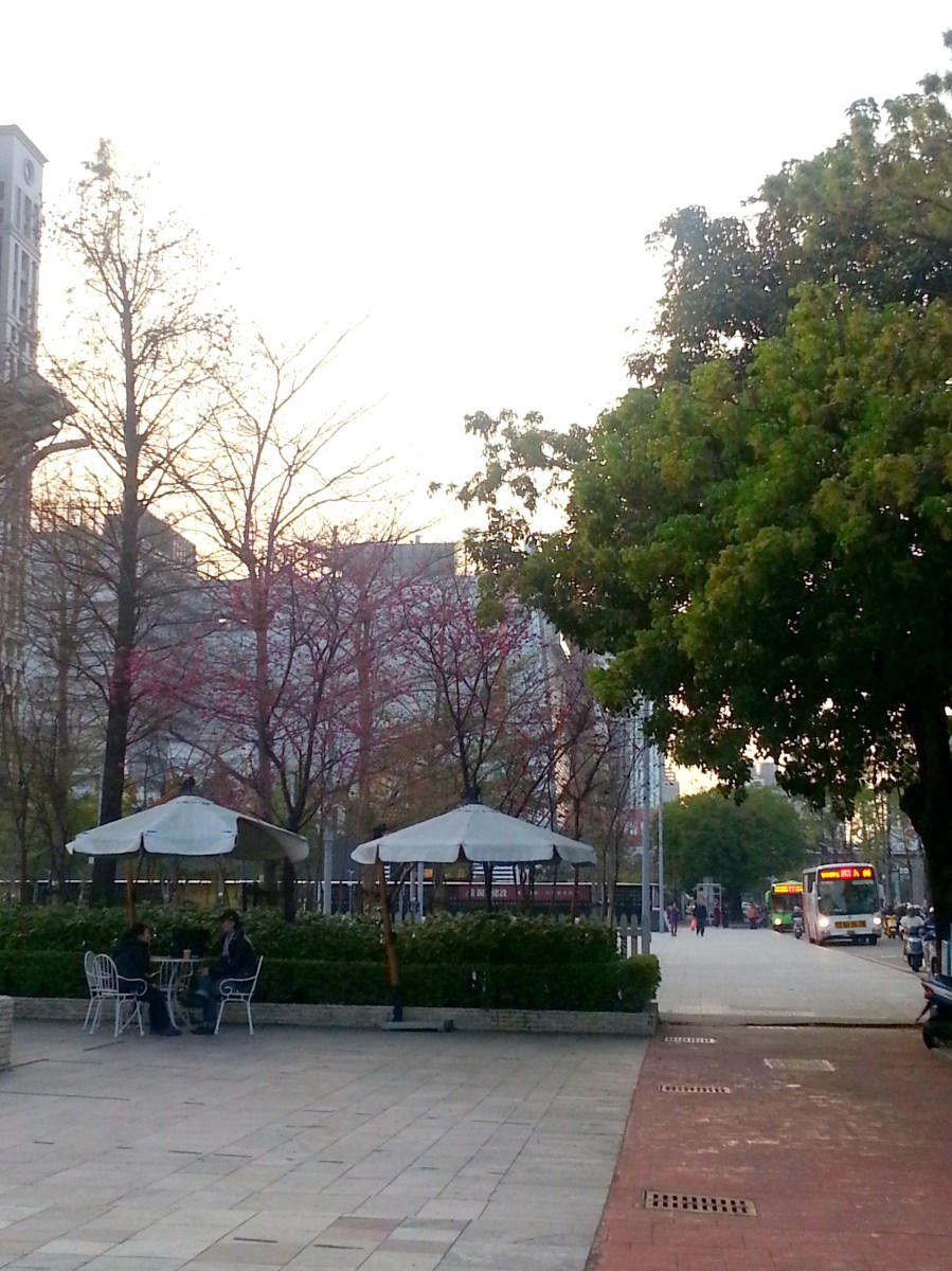 台中的一天-台中街道