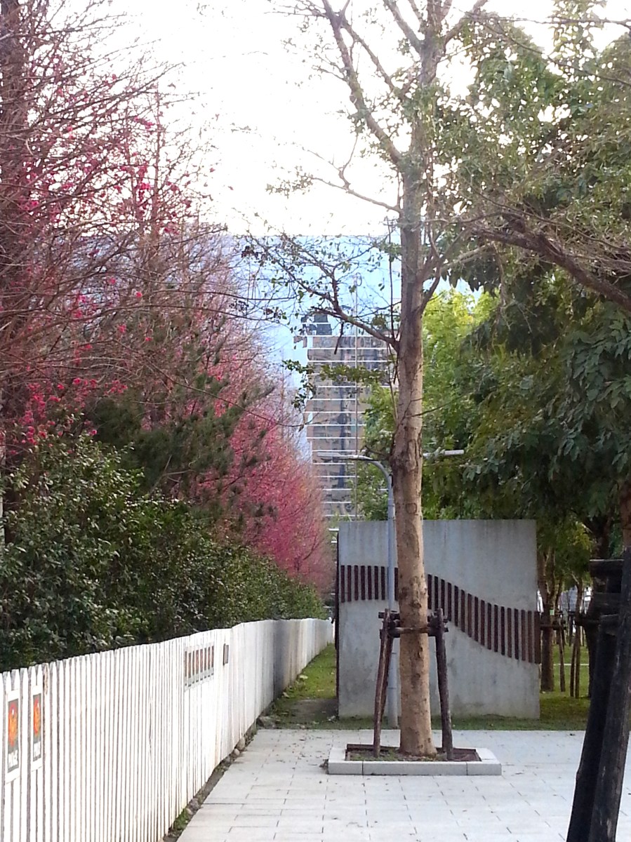 台中的一天-台中街道