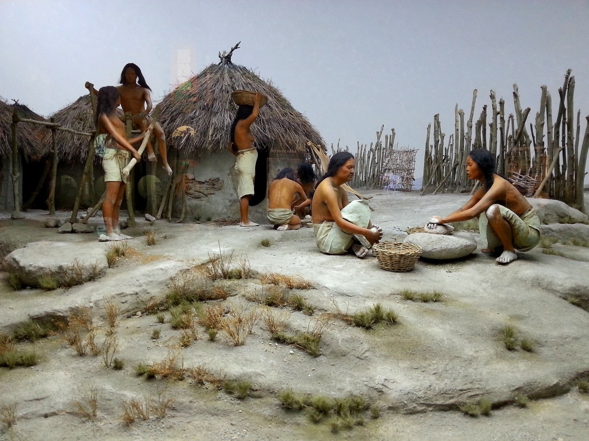 生命循環之生老病死－定居的團體