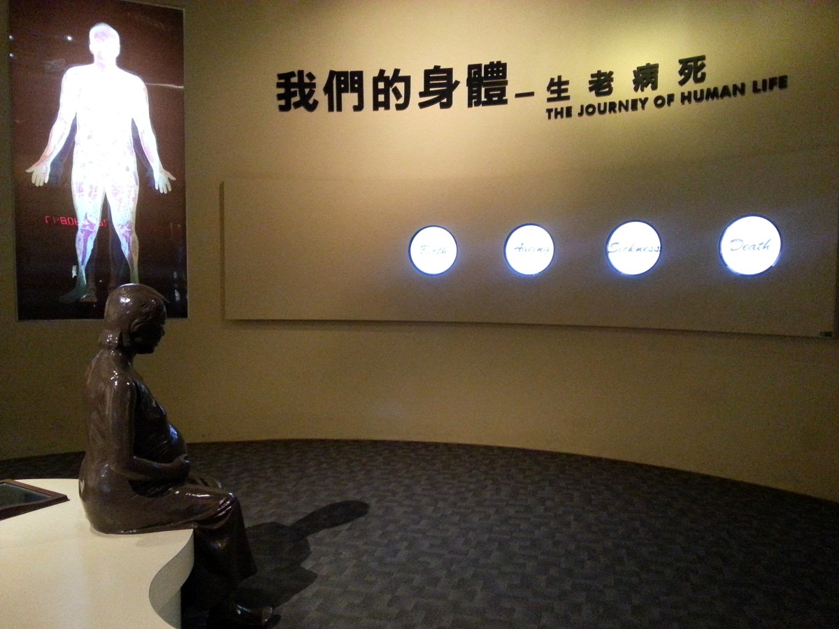 生命循環之生老病死－我們的身體