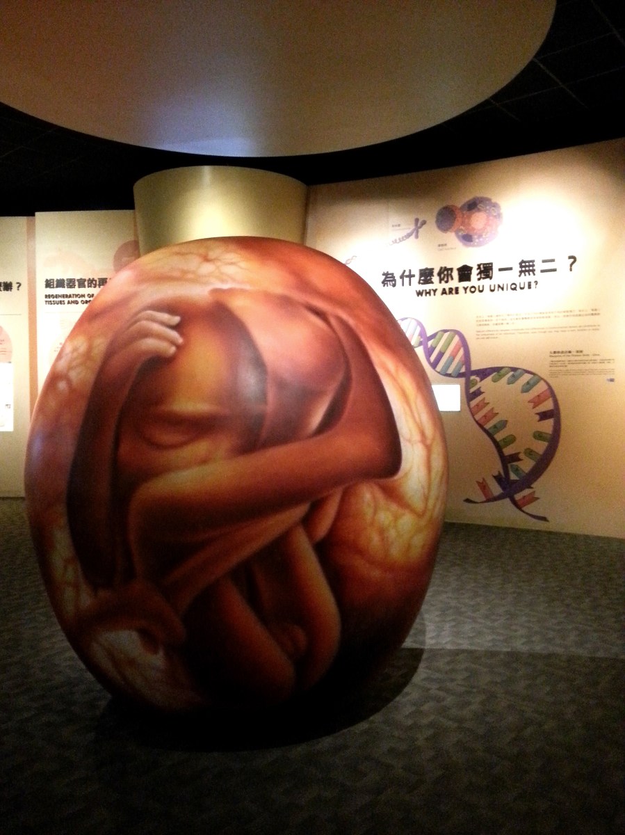 生命循環之生老病死－我們的身體