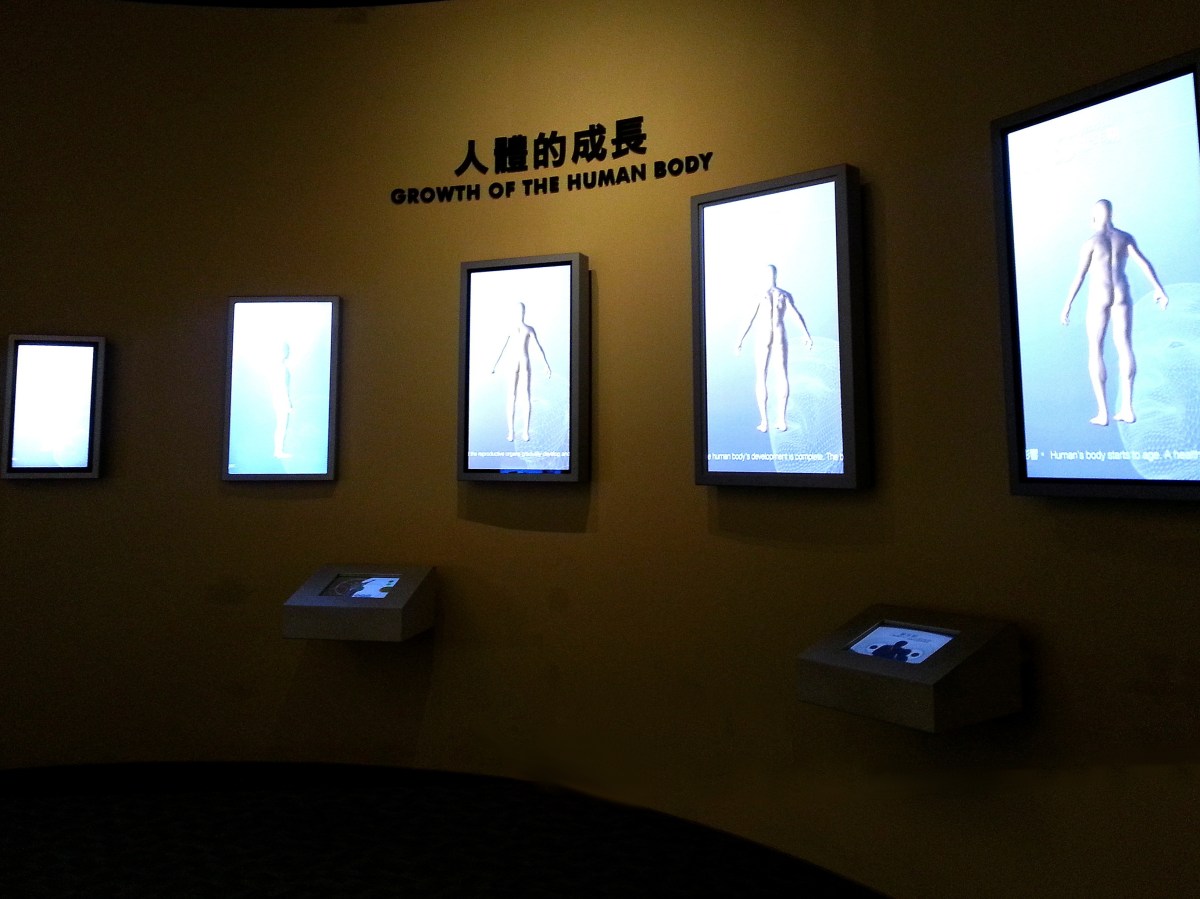 生命循環之生老病死－人體的成長