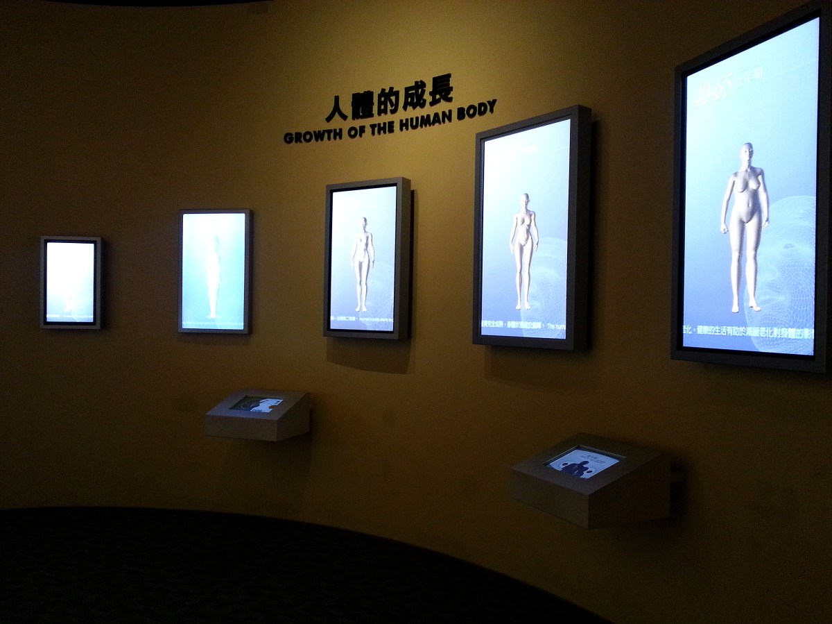 生命循環之生老病死－人體的成長