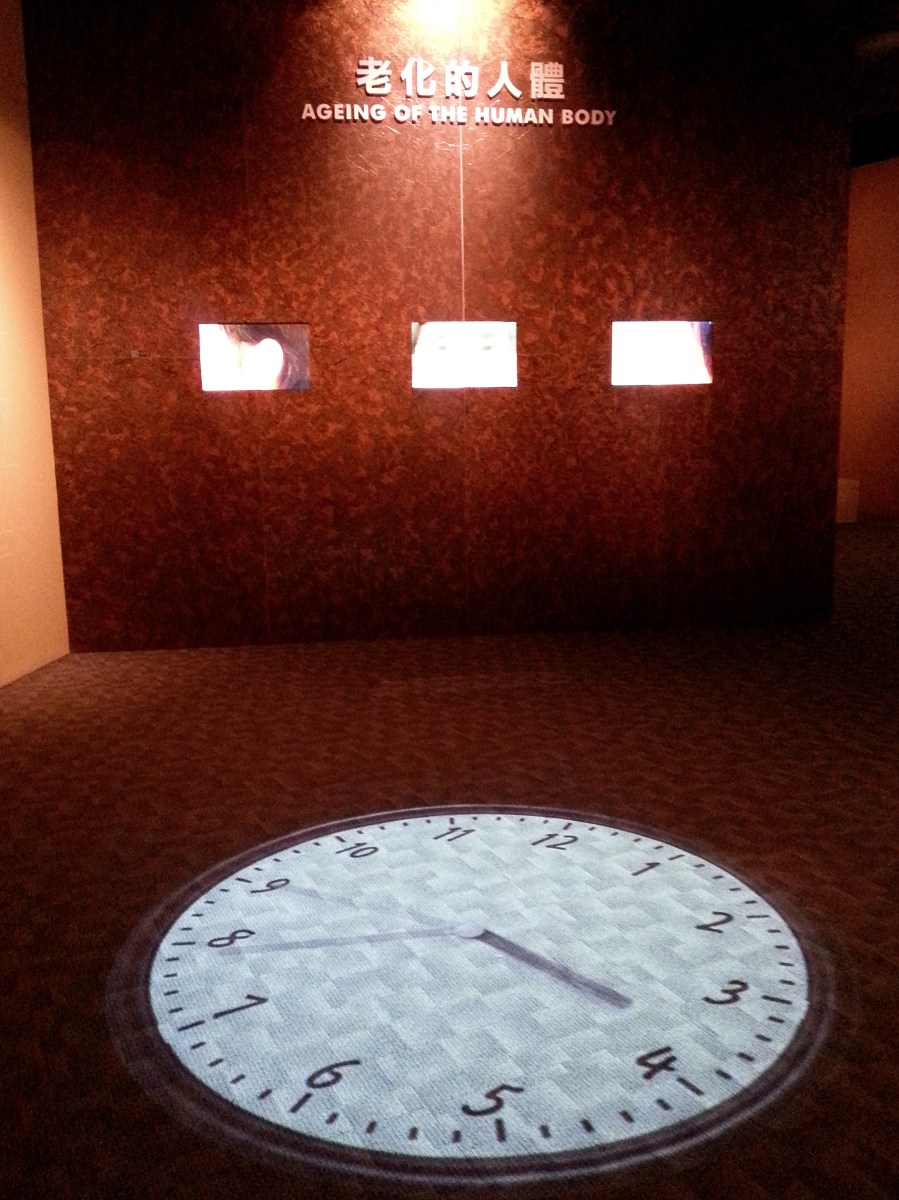 生命循環之生老病死－老化的人體