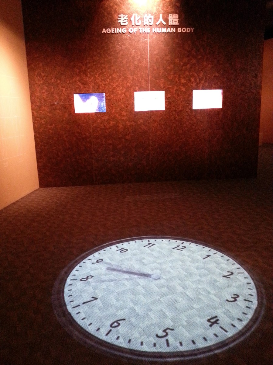 生命循環之生老病死－老化的人體