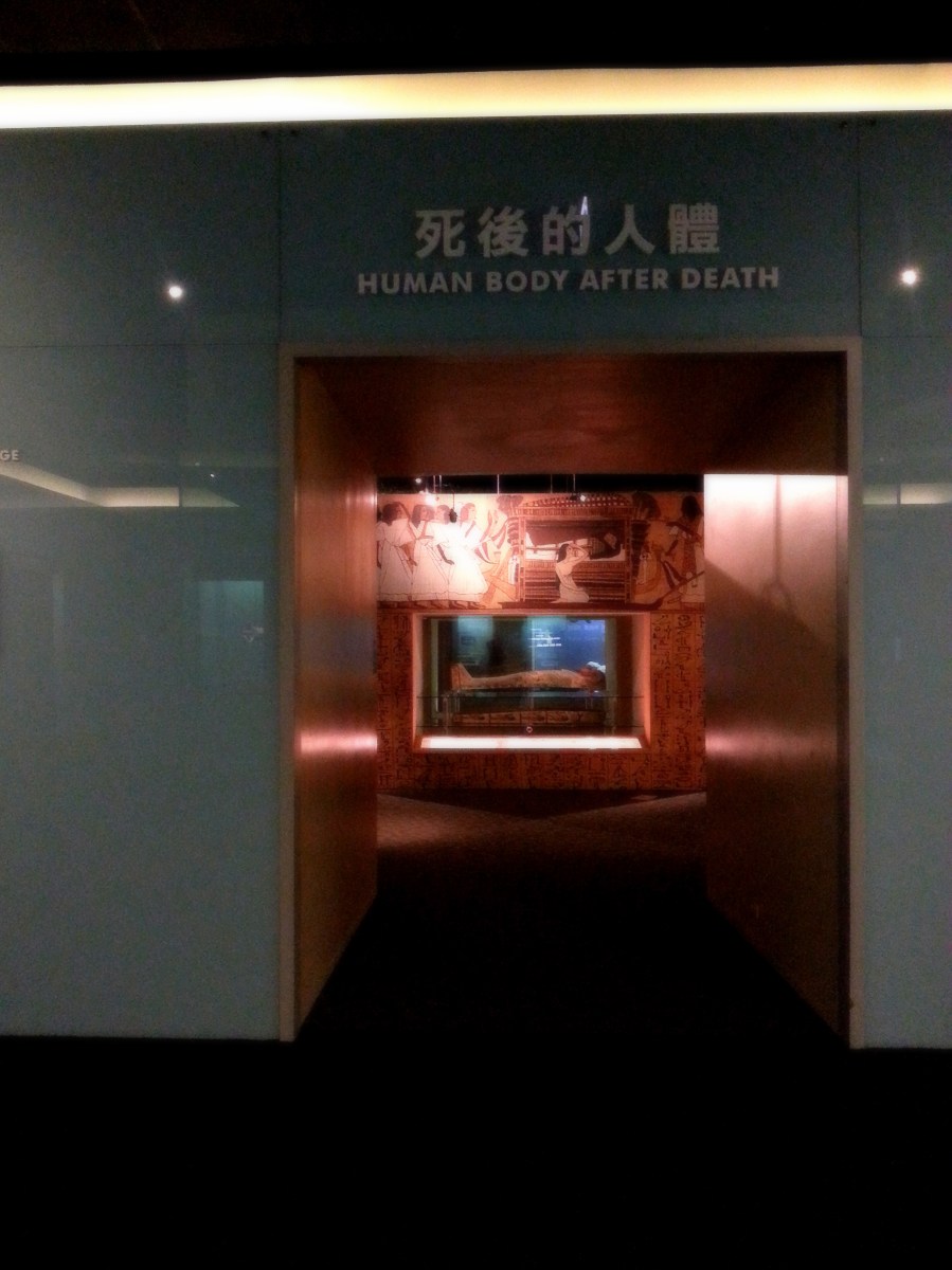 生命循環之生老病死－死後的人體