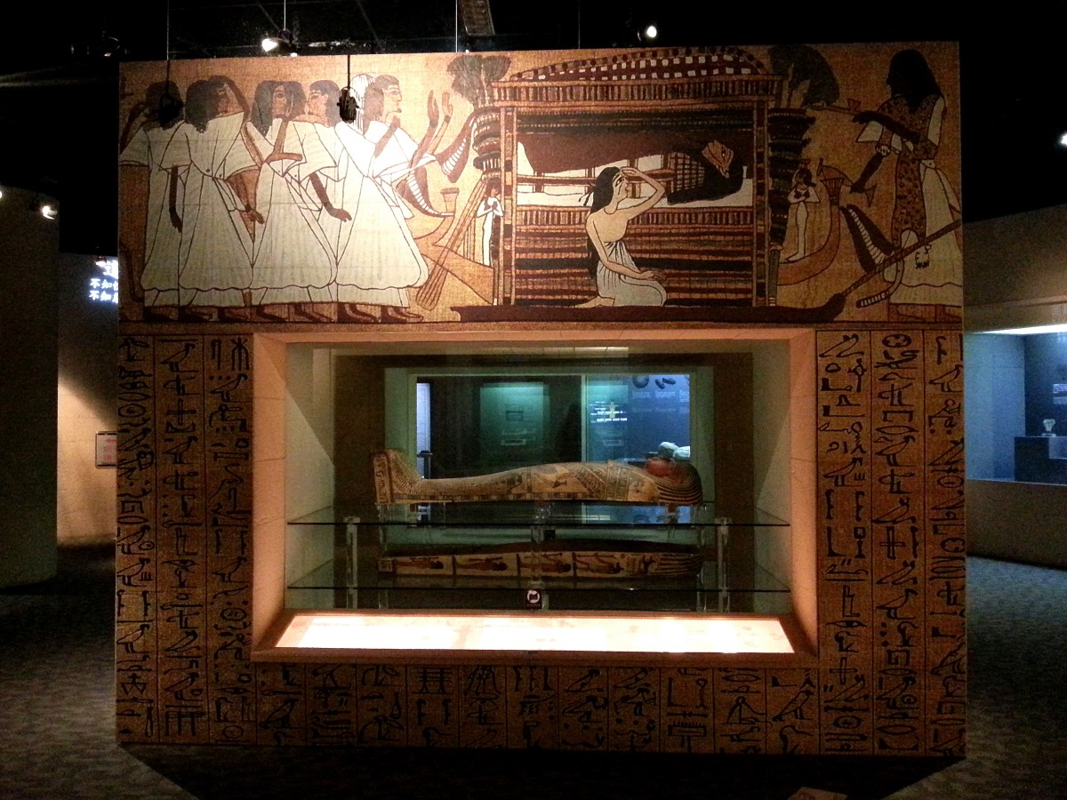 生命循環之生老病死－死後的人體