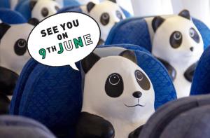 PMQ 元創方「1600熊貓遊 香港·創意X 保育」巡迴展最新宣傳 資料來源: 1600熊貓遊專頁