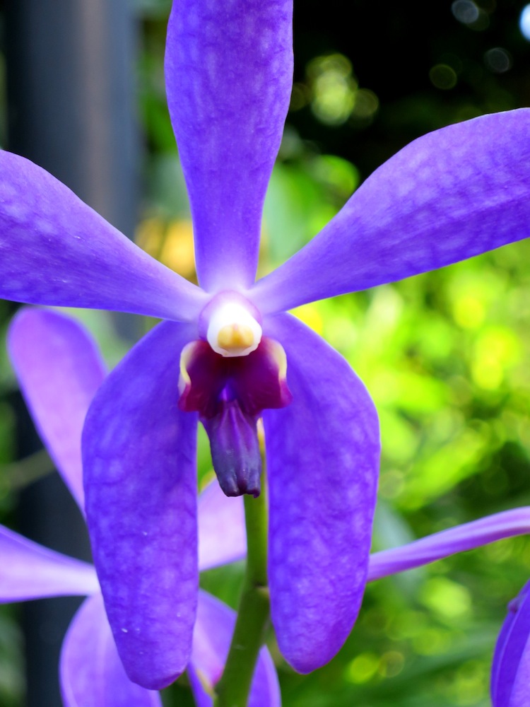 Aranda Noorah Alsagoff